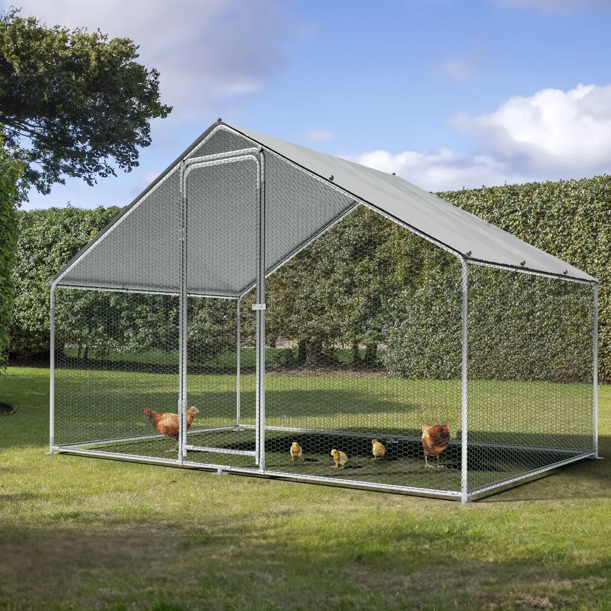 Dellonda 3 x 2 x 2m Walk-In Chicken Run, Galvanized Steel, Roof Cover, PVC Coated Chicken Wire - Image 3