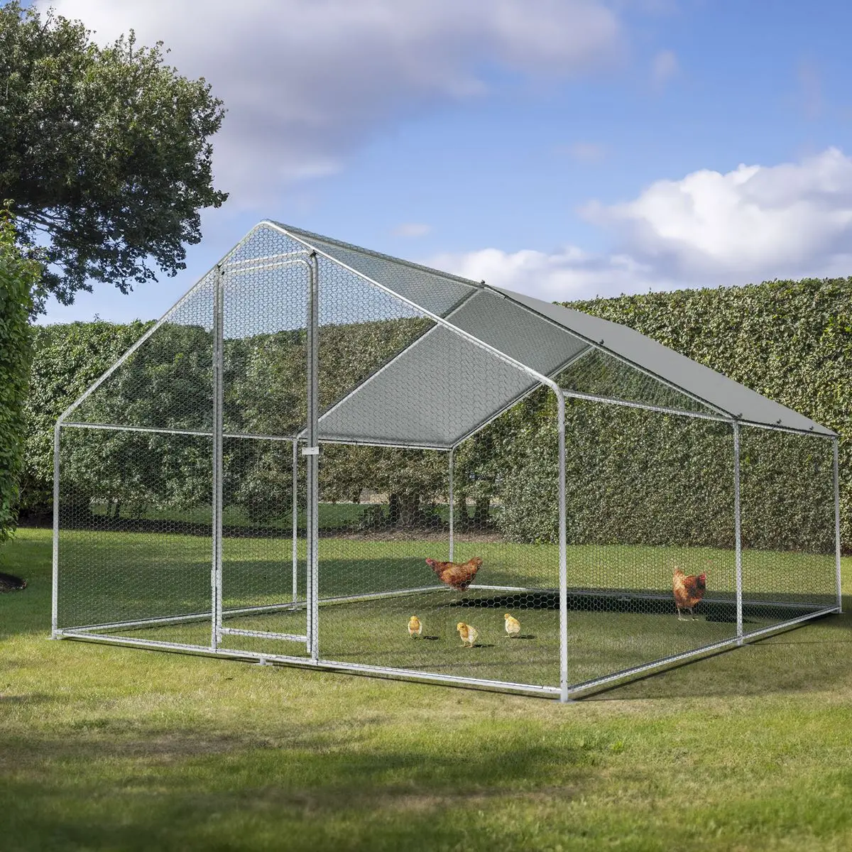 Dellonda 3 x 4 x 2m Walk-In Chicken Run, Galvanized Steel, Roof Cover, PVC Coated Chicken Wire - Image 9