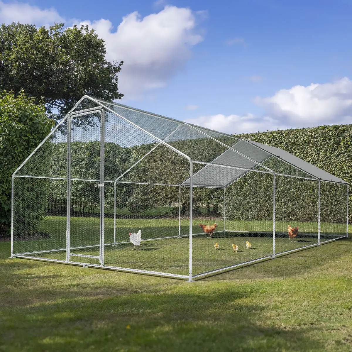Dellonda 3 x 6 x 2m Walk-In Chicken Run, Galvanized Steel, Roof Cover, PVC Coated Chicken Wire - Image 9
