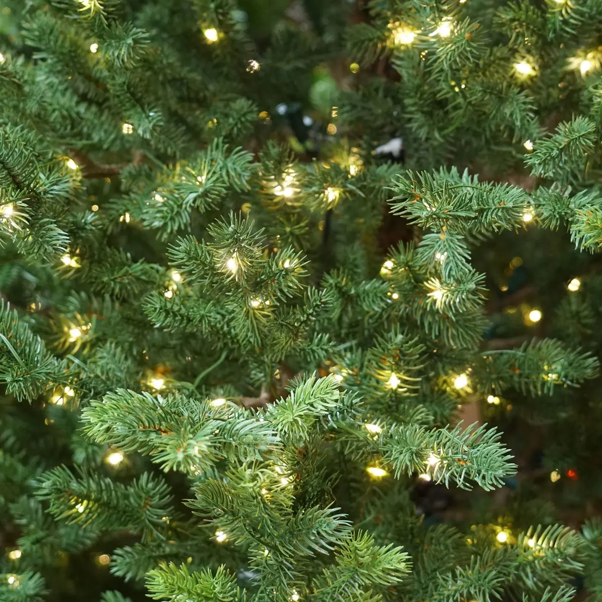 Dellonda Pre-Lit 7ft Hinged Christmas Tree with Warm White LED Lights & PE/PVC Tips - Image 8
