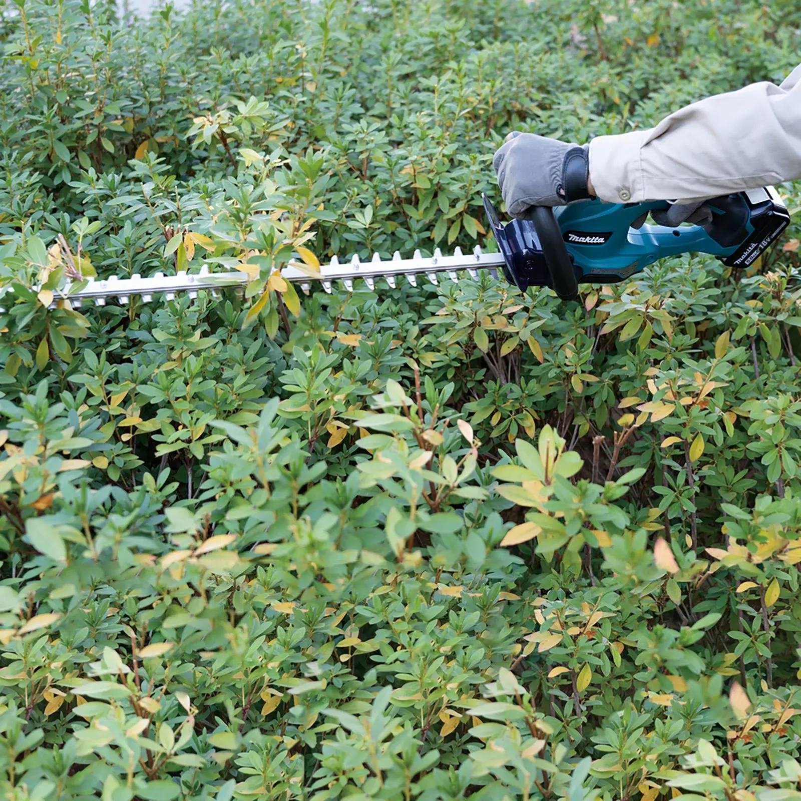 Makita Hedge Trimmer 50cm 18V LXT Li-ion Cordless Garden Bush Cutter Cutting Bare Unit Body Only DUH507Z - Image 4