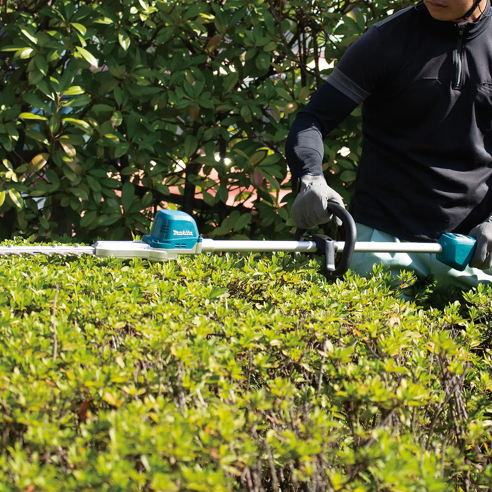 Makita Pole Hedge Trimmer 60cm 18V LXT Li-ion Brushless Cordless Garden Bush Cutter Cutting Bare Unit Body Only DUN600LZ - Image 8