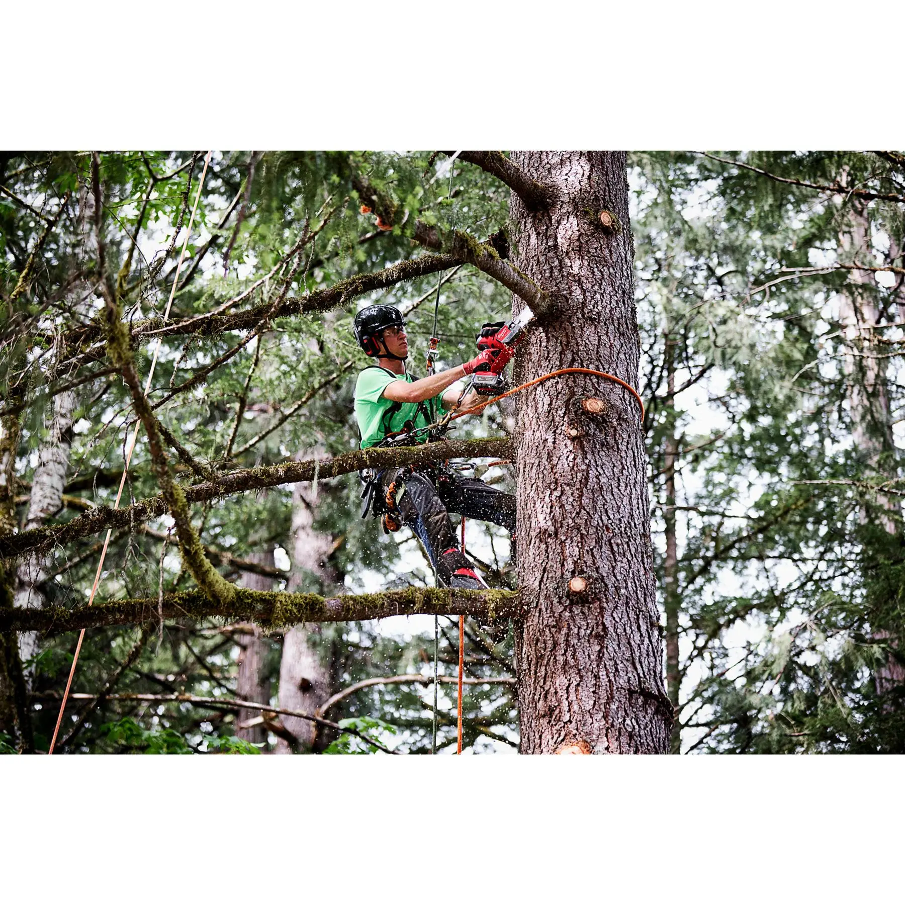 Milwaukee M18 18V FUEL HATCHET Pruning Saw 20cm Brushless Bare Unit M18FHS20-0 - Image 14