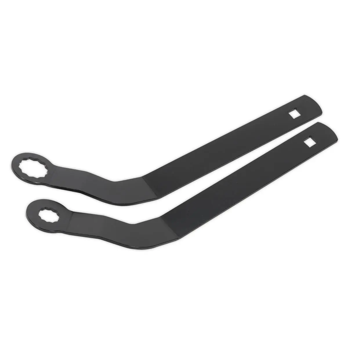Sealey Auxiliary Belt Tensioner Spanner Set - for BMW Mini