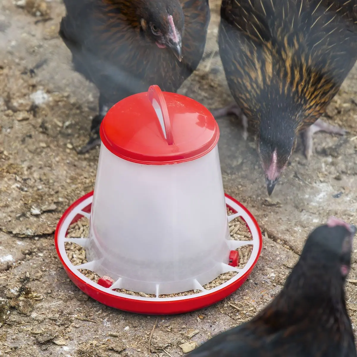 Sealey Poultry Feeder 1.5kg - Pack of 5 - Image 4