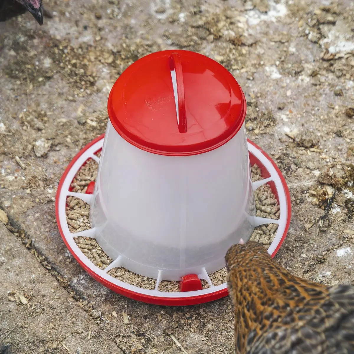 Sealey Poultry Feeder 1.5kg - Pack of 5 - Image 5