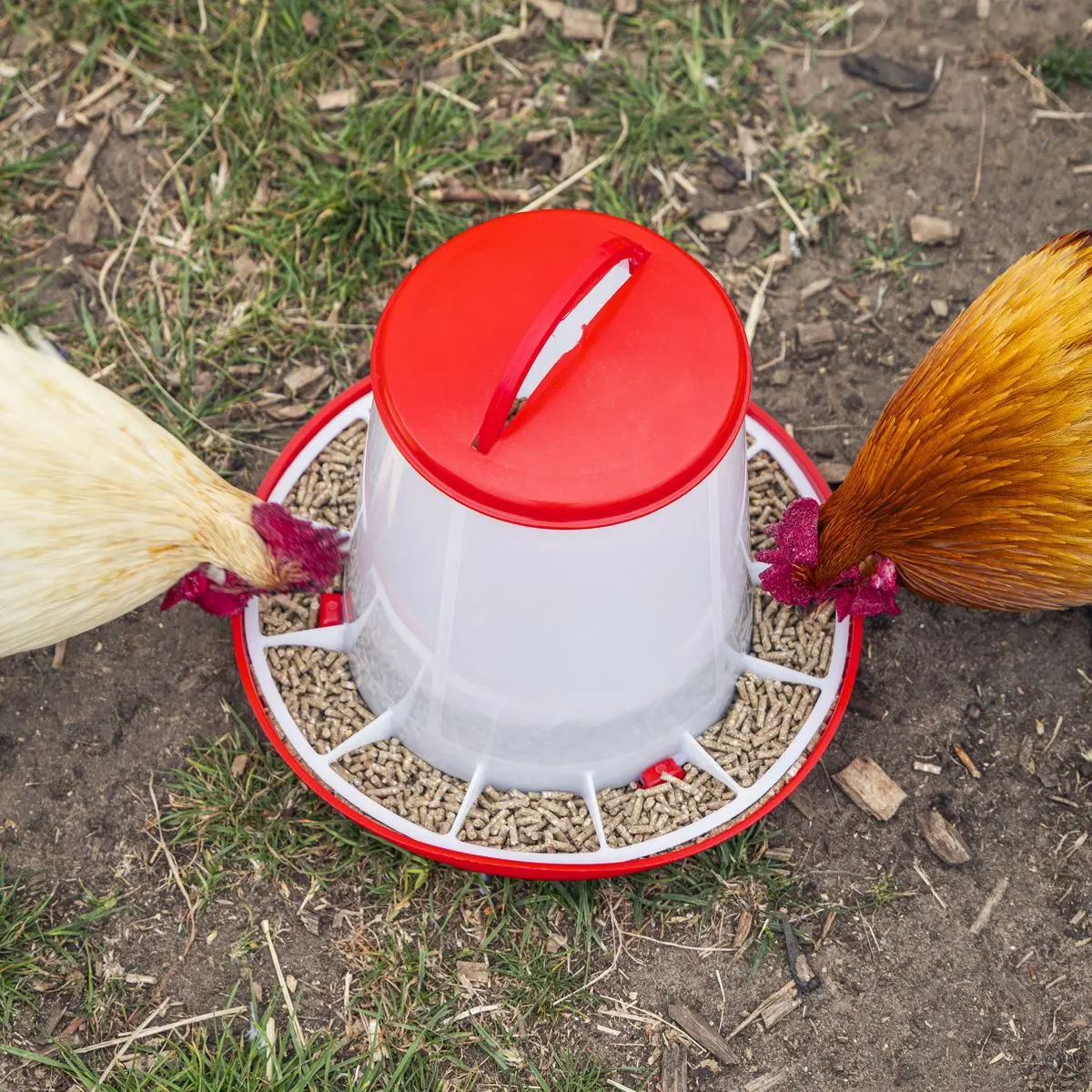 Sealey Poultry Feeder 3kg - Pack of 3 - Image 2