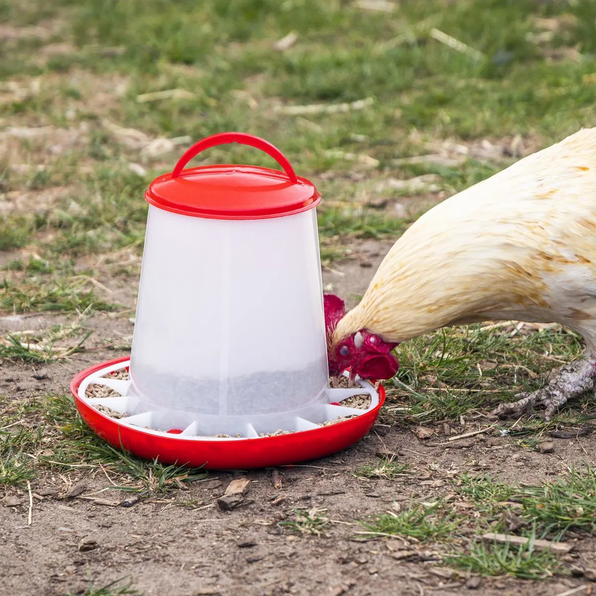 Sealey Poultry Feeder 3kg - Pack of 3 - Image 4