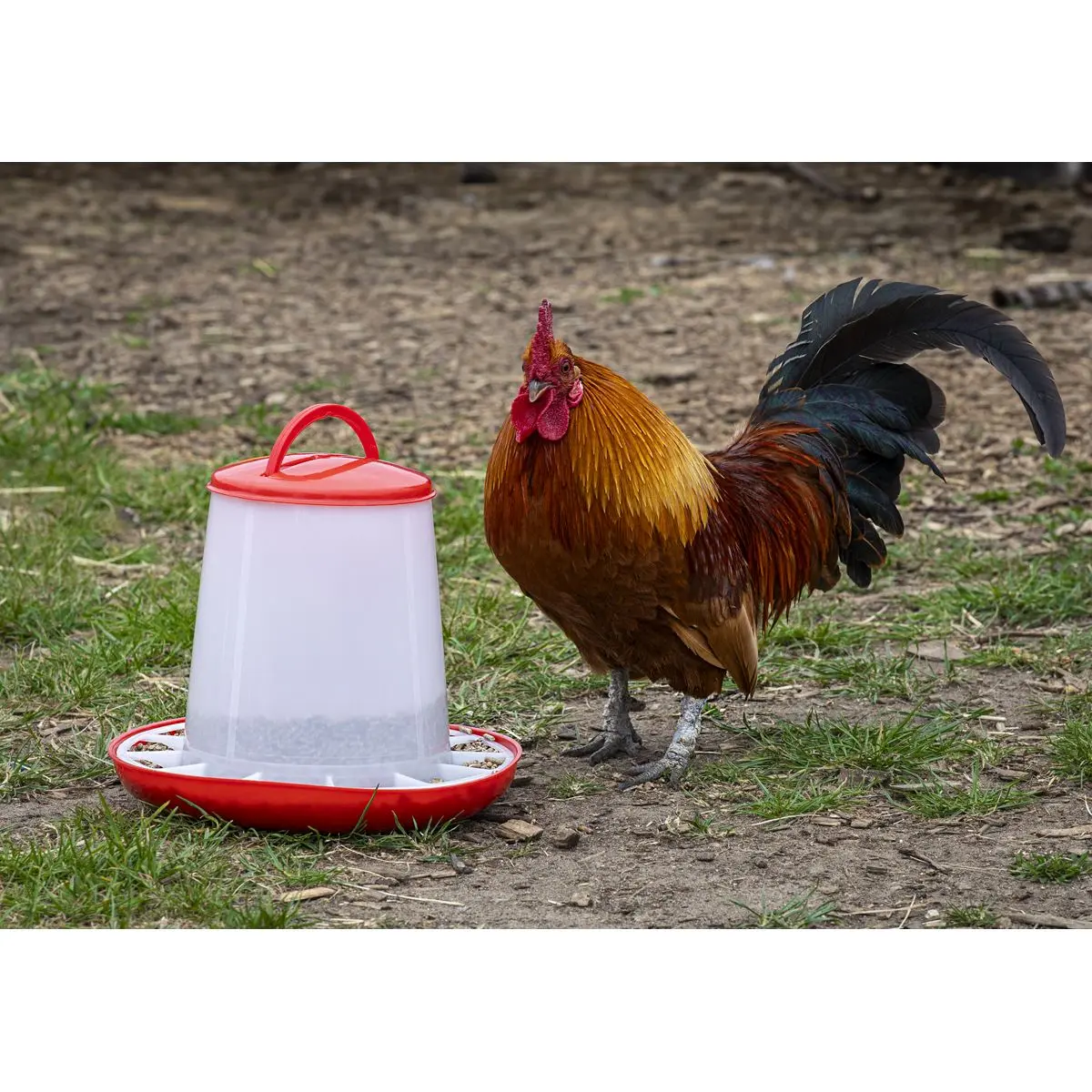 Sealey Poultry Feeder 3kg - Pack of 3 - Image 7
