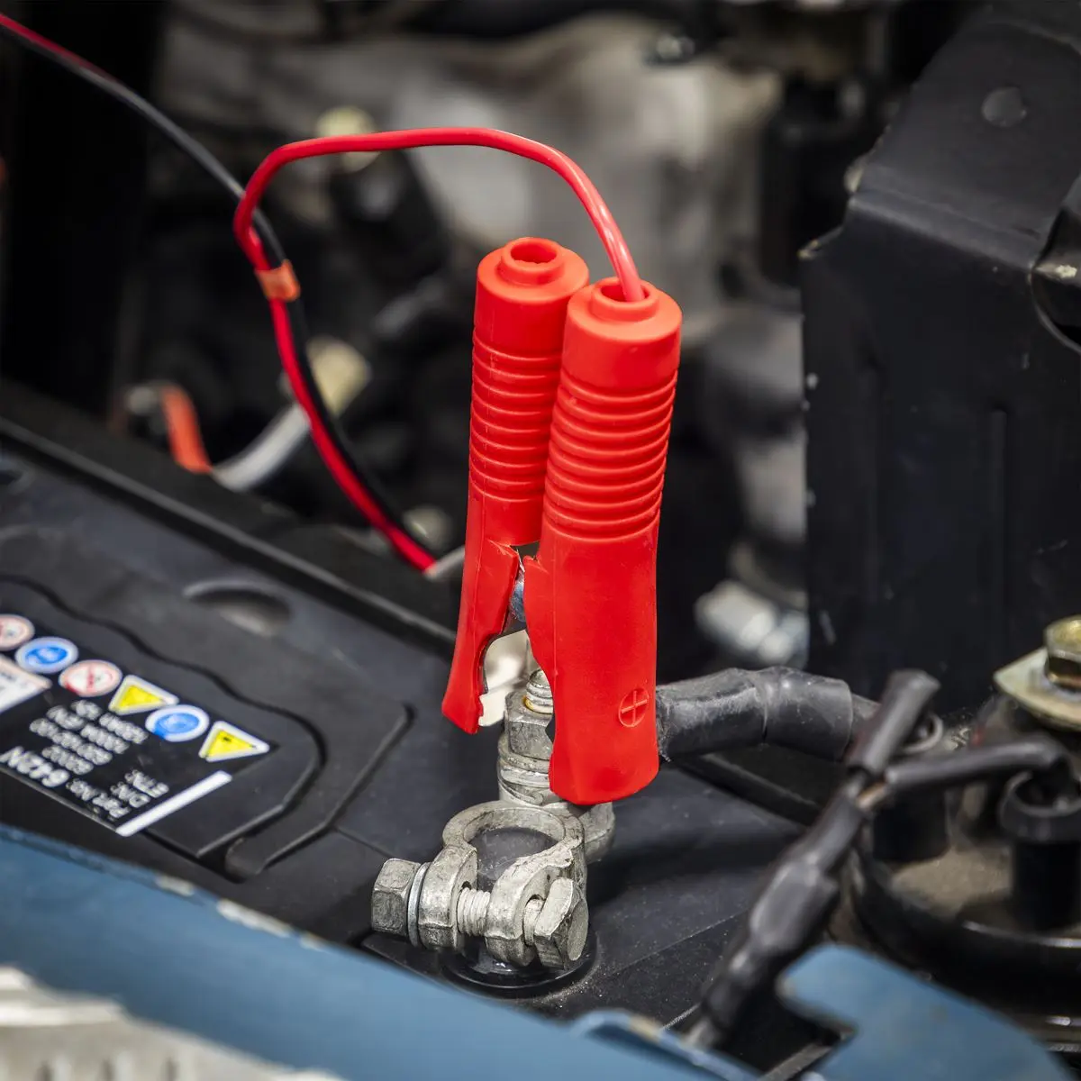 Sealey Premier Battery Maintainer Charger 8A Fully Automatic - Image 3