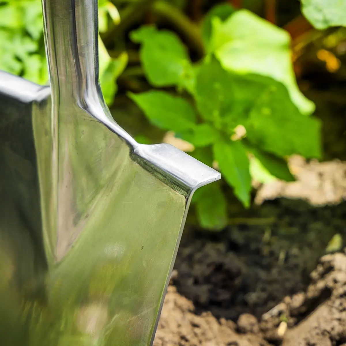 Sealey Premier Digging Spade with Ash Y Handle & Stainless Steel Blade - Image 5