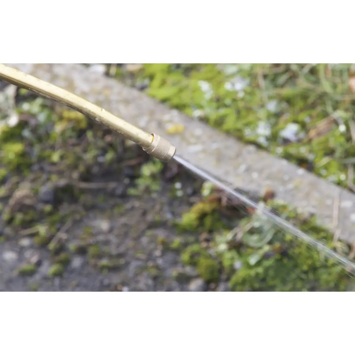 Sealey Pressure Sprayer 8L - Image 2
