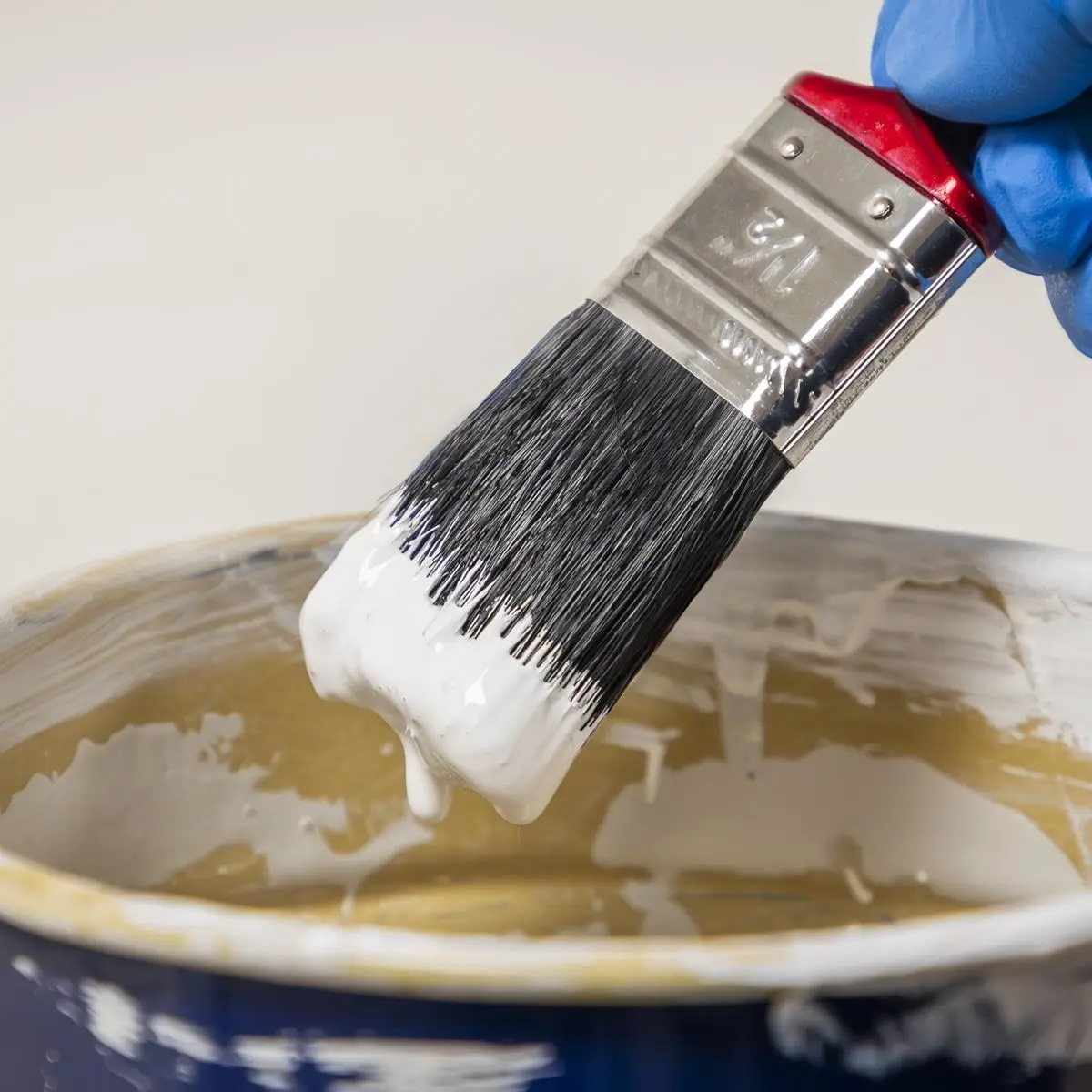 Sealey Pure Bristle Paint Brush 38mm Pack of 10 - Image 5