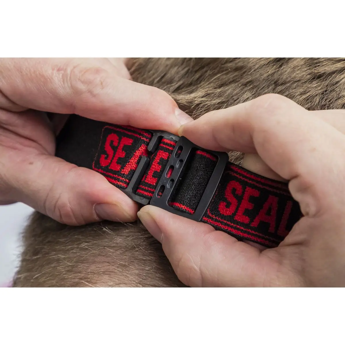 Sealey Rechargeable Head Torch with Auto-Sensor 8W COB LED - Image 2