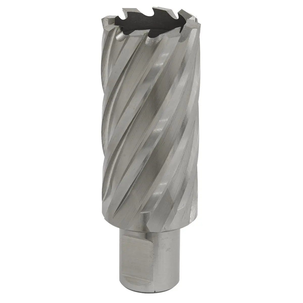 Worksafe by Sealey Mag Drill Bit HSS Ø29mm - Cut Depth 50mm